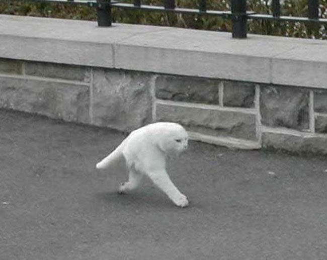 3431505-R3L8T8D-650-the-most-awkward-panoramic-fails-of-all-time-24