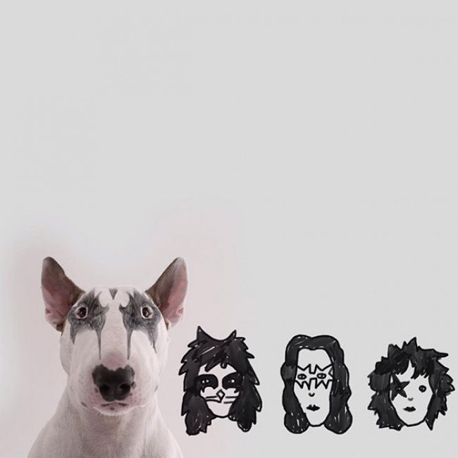 18194160-R3L8T8D-650-Jimmy-the-Bull-Terrier12__605