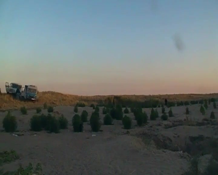 SDV_9563 006