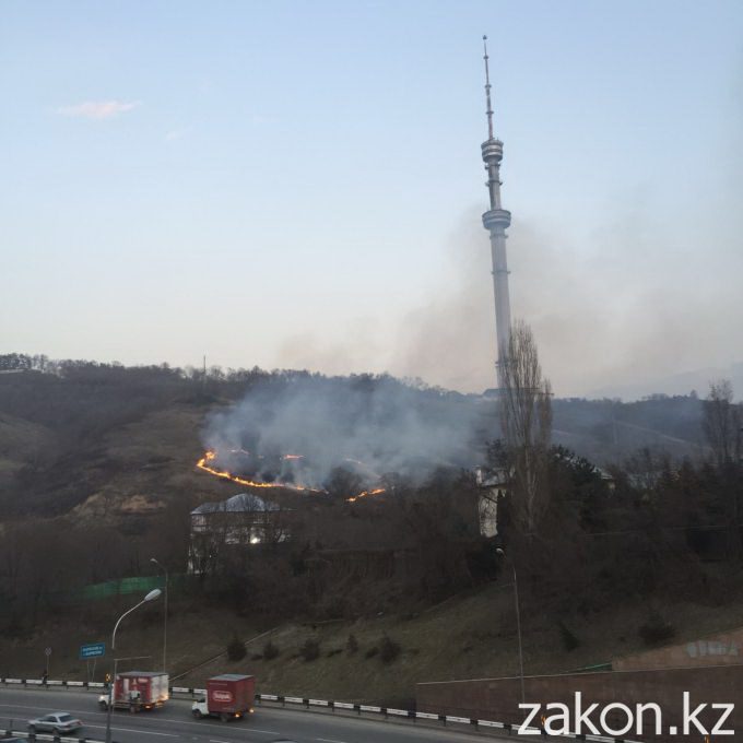Фото Zakon.kz