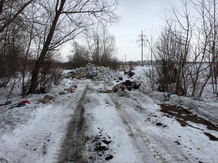 Фото Олега Рогачева