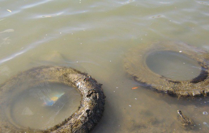 river_pollution_Irtysh_6