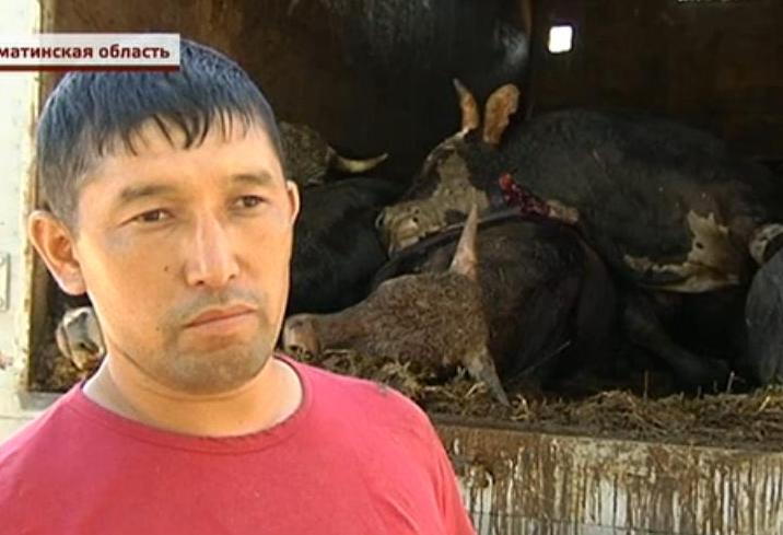 кадр из сюжета КТК