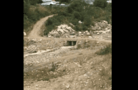 каргалы