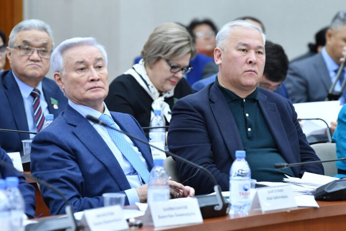 мажилисмены (?)