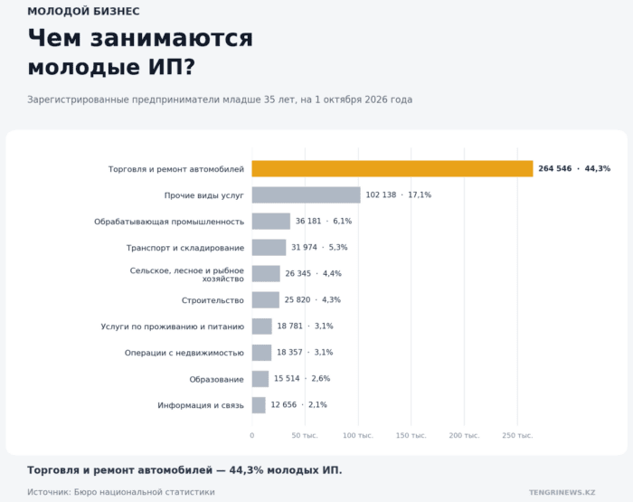В Казахстане почти 600 тысяч молодых ИП: женщины активнее, но компании чаще у мужчин
