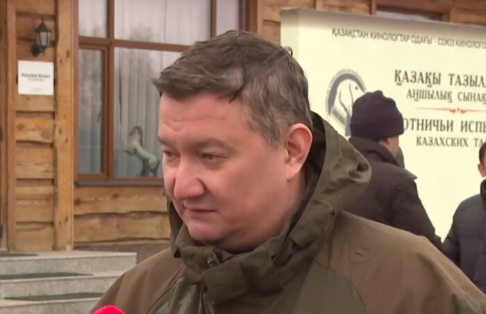 В Астане около 30 тазы показали охотничьи навыки на испытаниях