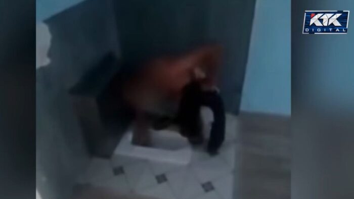 Скандал в Дарьинском центре: пациент пил воду из унитаза, директор подал заявление