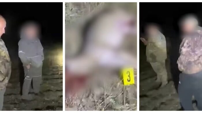 В Северном Казахстане егеря пострадали при задержании браконьеров на пикапе