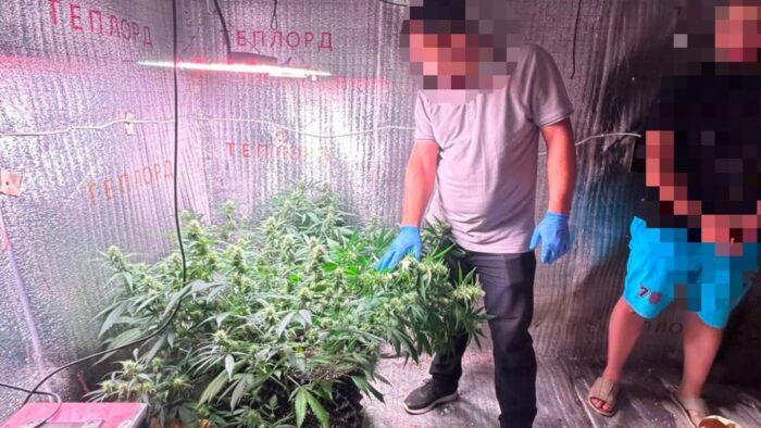 В ЗКО задержан владелец интернет-магазина с наркотиками и фитолабораторией